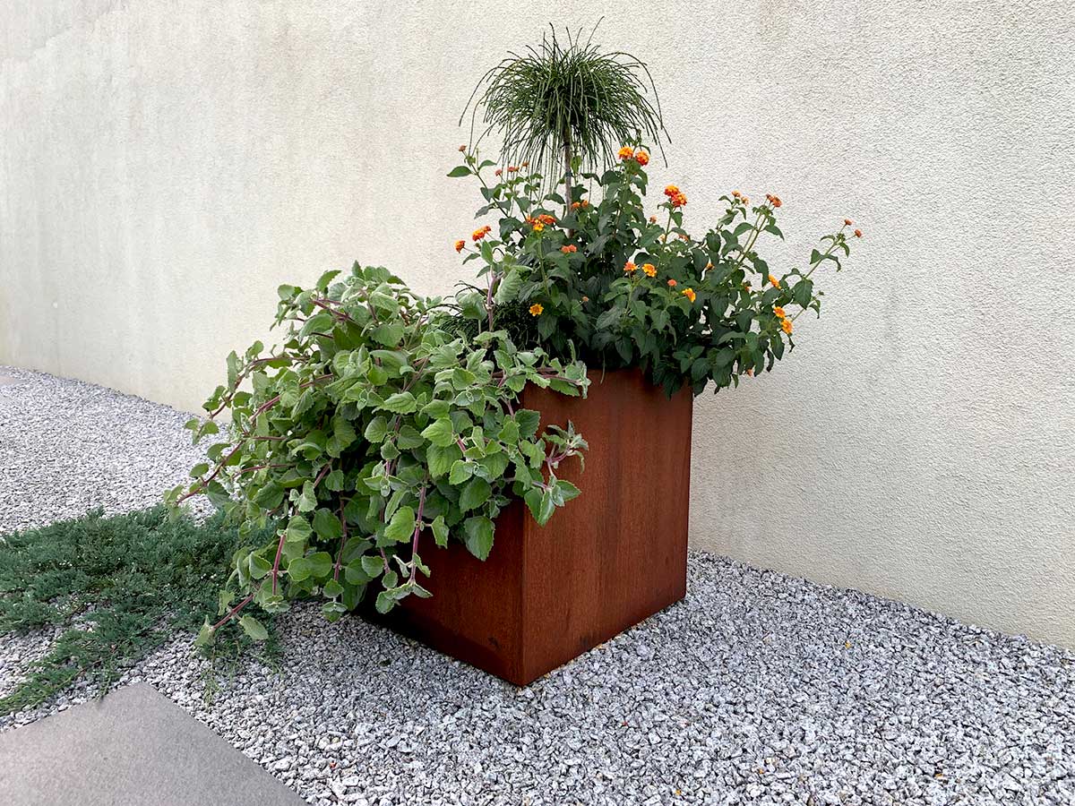 Pot Corten Cubo Carre Acier - cortena.fr